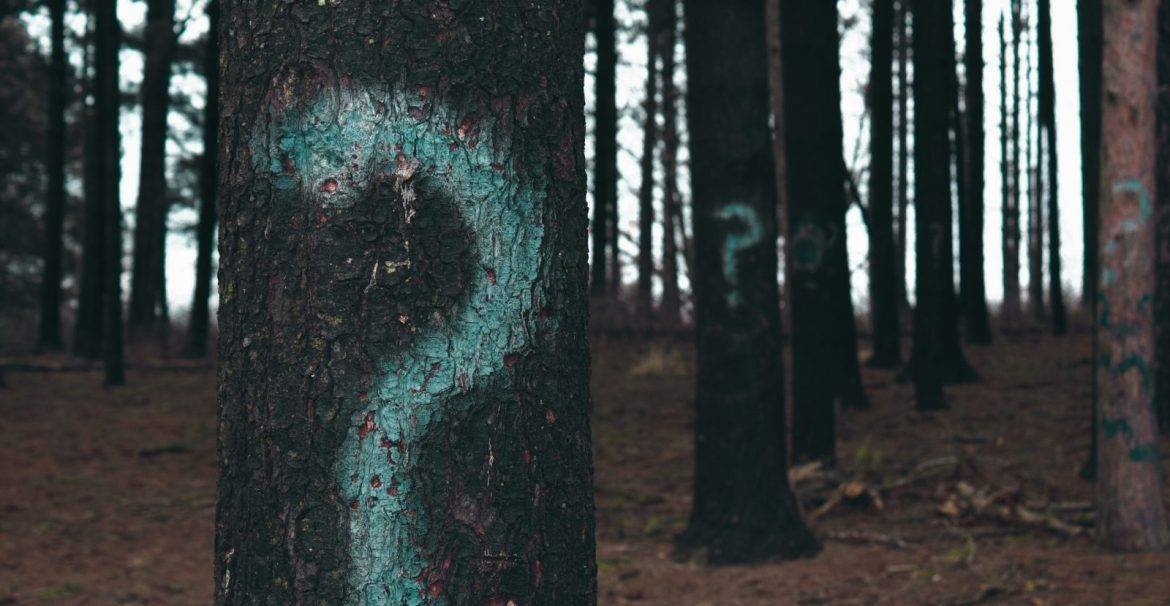 Tree with question mark