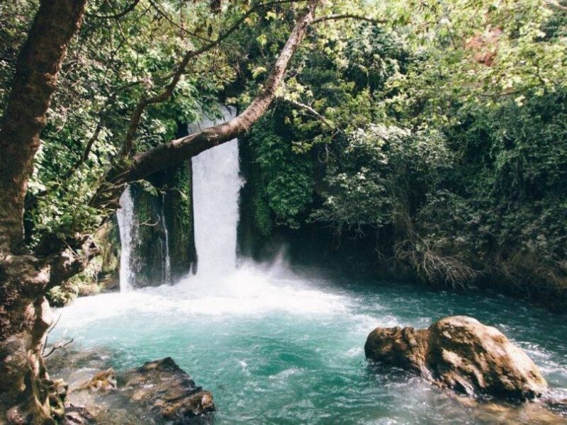 waterfall with flowing water