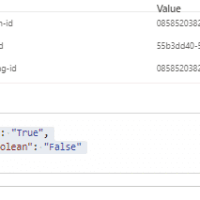 response showing string values true and false Response showing string values True and False