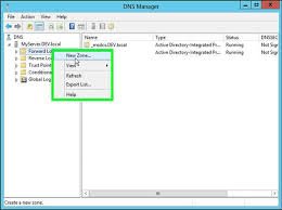 configure sharepoint 2013 dns manager Configure SharePoint 2013 DNS Manager