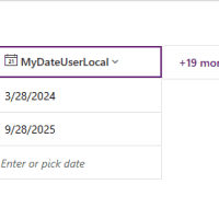 image 29 Example dates in dataverse